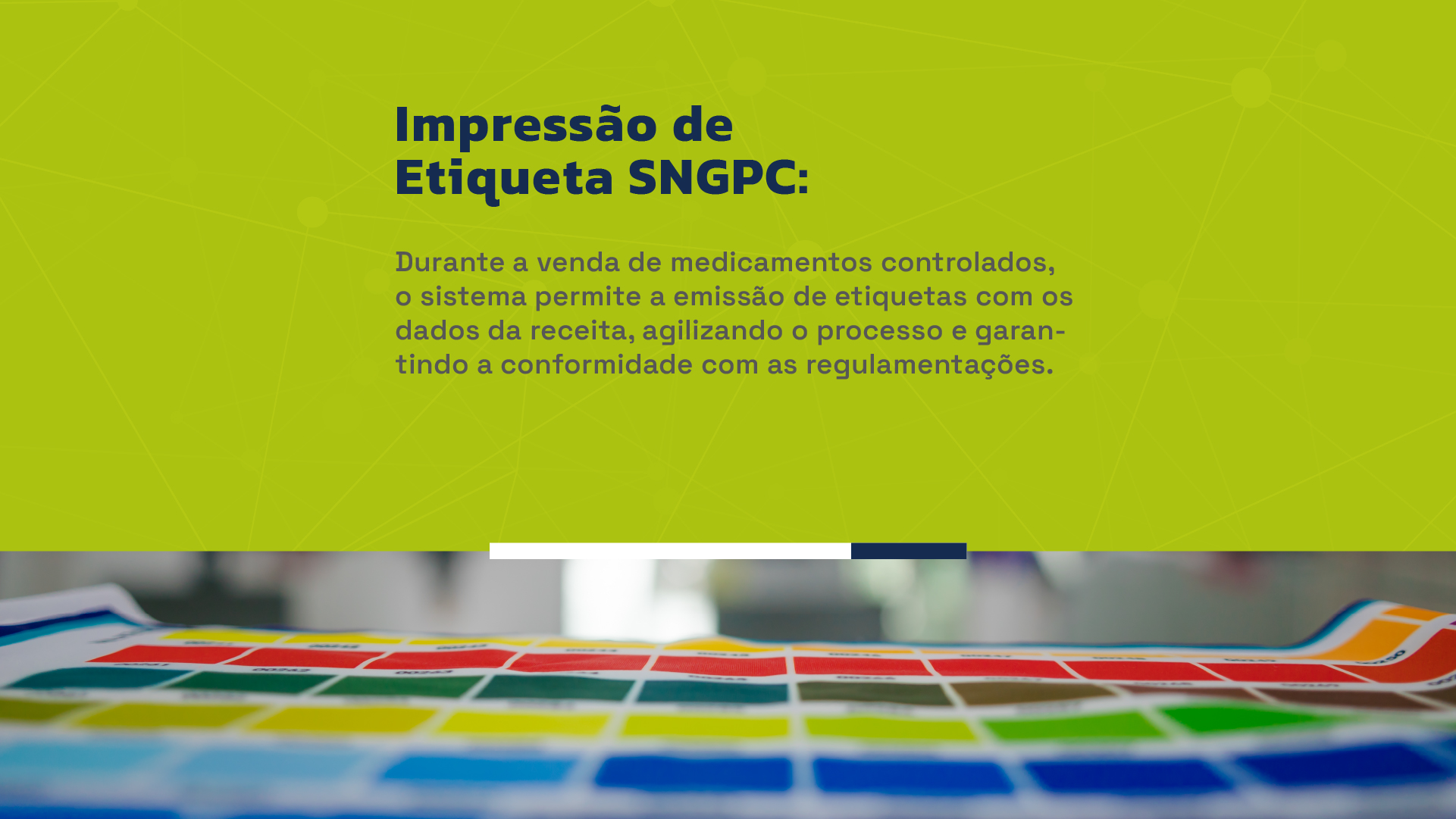 22-IMPR-ETIQUETA-SNGPC-100.jpg